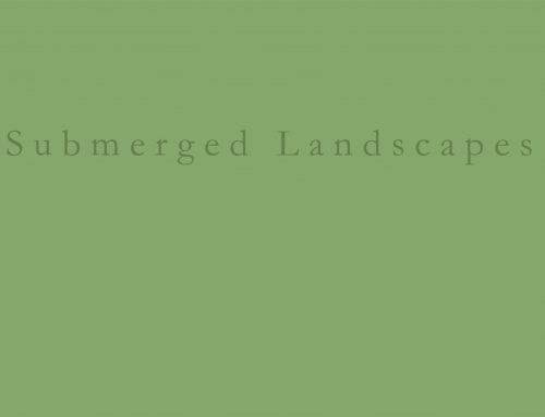 SUBMERGED LANDSCAPES