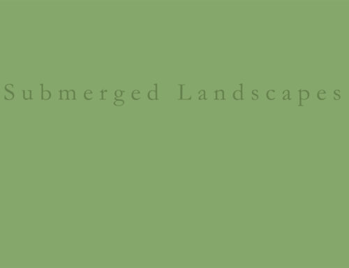 Submerged landscapes