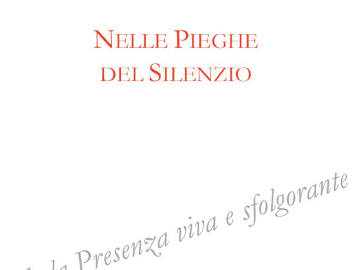 NELLE PIEGHE DEL SILENZIO