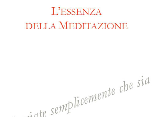 L’ESSENZA DELLA MEDITAZIONE